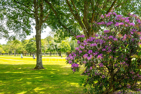 LBP_ESWSP_Waterlooville_2024-63