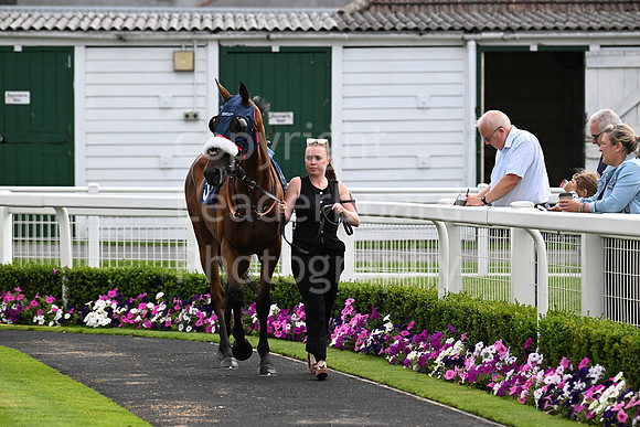 Gt_Yarm_28_July_2025-109