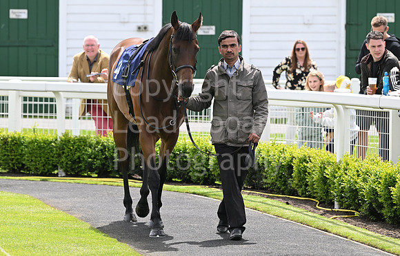 Gt_Yarm_May_27-2