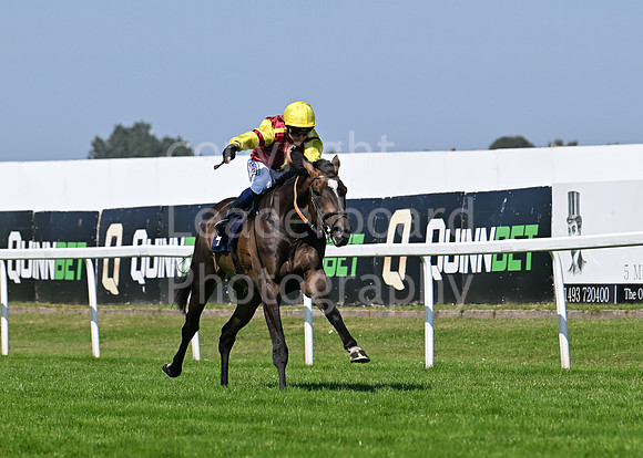 Gt_Yarm_July_30_2024-171