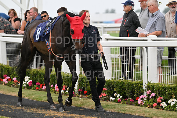 Gt_Yarm_19_Aug_Evening_Race-133