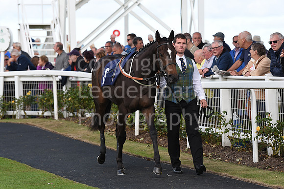Gt_Yarm_Eastern_Fest_Day_2-36