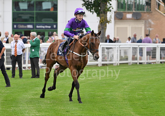 Gt_Yarm_19_Aug_Evening_Race-106
