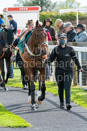 LBP_4596