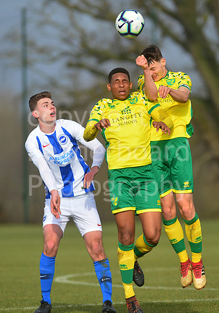 NB_091_NCFC_U18_Brighton