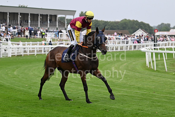 Gt_Yarm_19_Aug_Evening_Race-151