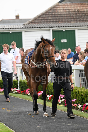 Gt_Yarm_19_Aug_Evening_Race-40