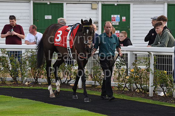 22_GY_Racing_7_Aug