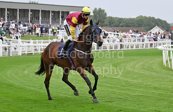 Gt_Yarm_19_Aug_Evening_Race-150