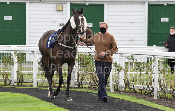 Gt_Yarmouth_Races_230Aug-53