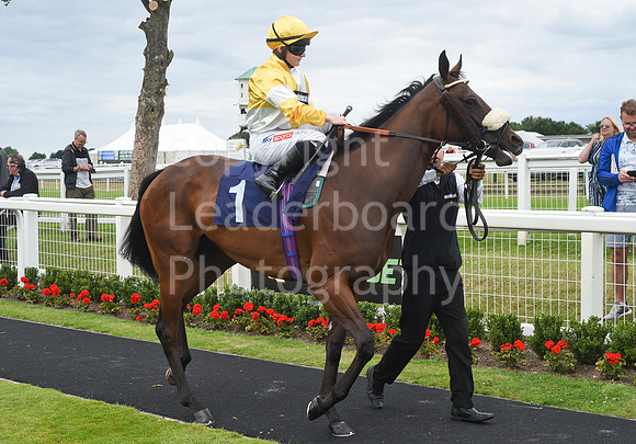 Gt_Yarm_06_July_2022-170