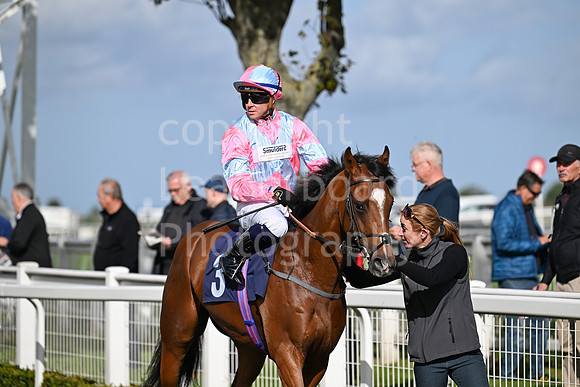 Gt_Yarm_Oct_7_2024-5