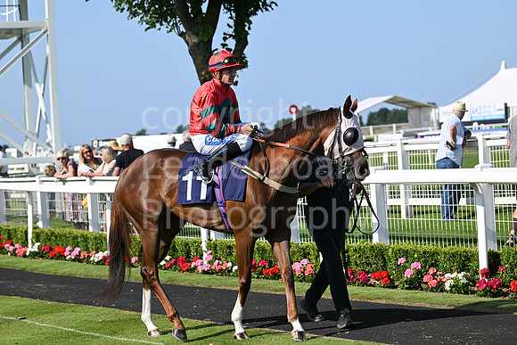 Gt_Yarm_July_30_2024-257