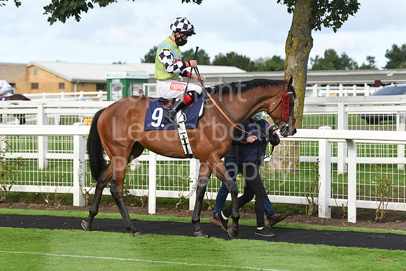Gt_Yarmouth_Races_230Aug-155