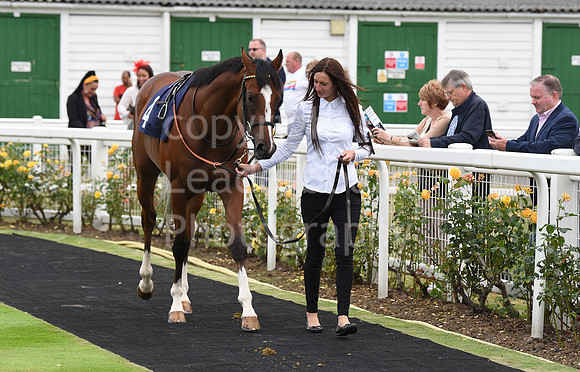 Yarm_Races_17July-18