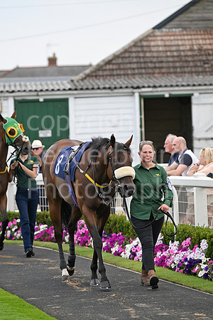 Gt_Yarm_24_Aug_2025-199