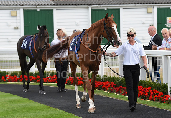 Gt_Yarm_3_Aug_2022-44