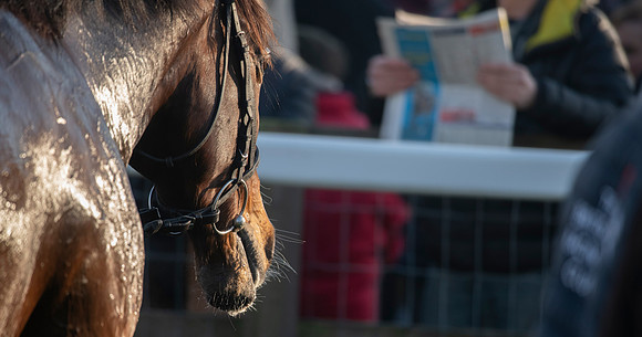 LB_Fakenham_31_18_0828