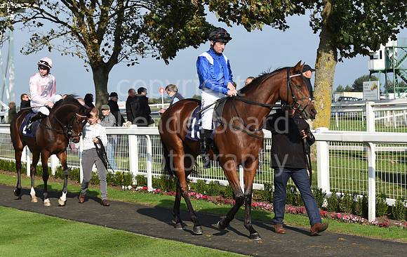 Gt_Yarm_Season_Finale_19Oct_2021-26