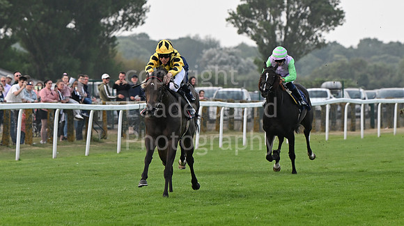Gt_Yarm_19_Aug_Evening_Race-18