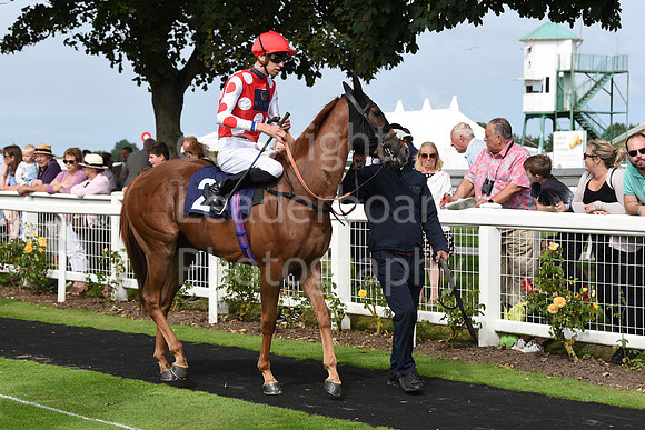 Gt_Yarm_Races_24_Aug_2021-129