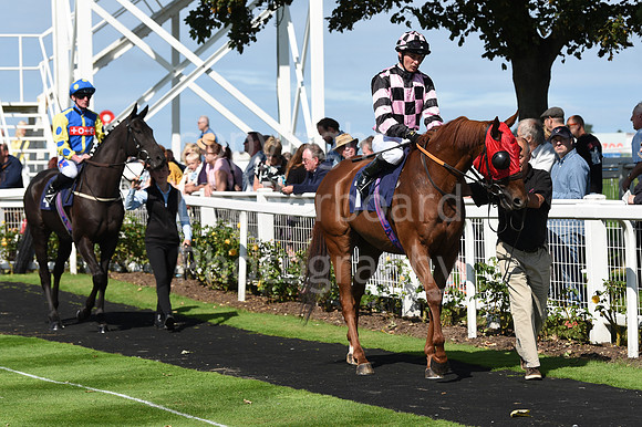 Gt_Yarm_Races_24_Aug_2021-109