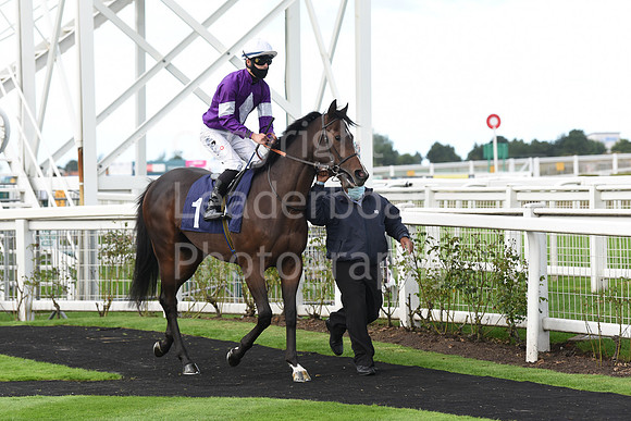 Gt_Yarmouth_Races_230Aug-188