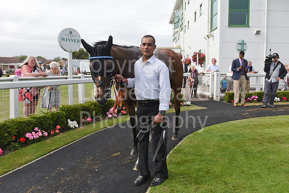 Gt_Yarm_Aug_8_2024_Groom-5