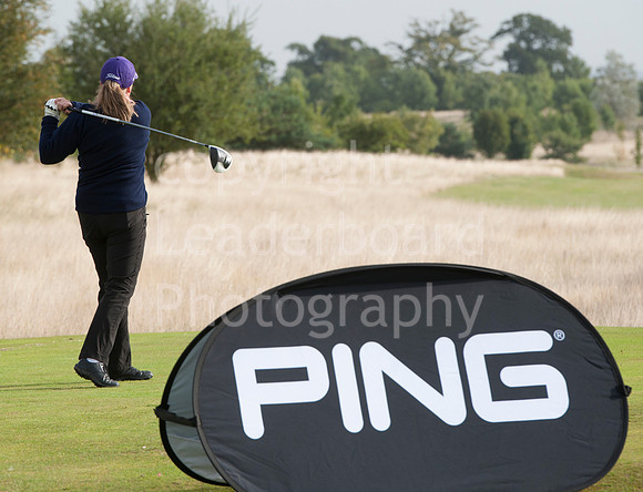 NB_PING_Grand_Final.