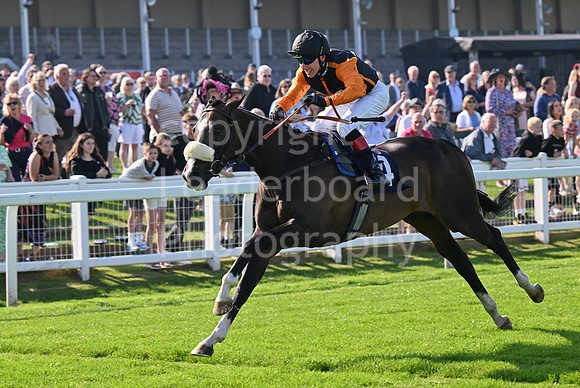 Gt_Yarm_Ladies_Night_17th_July_2024-26