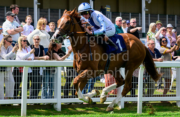 NZ9_3678