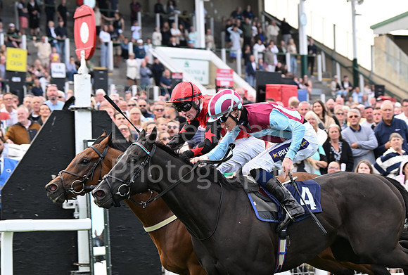 Gt_Yarm_24_Aug_2025-184