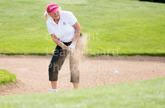 AJ_PING_Grand_2015_362