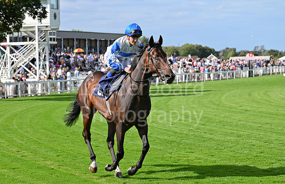 Gt_Yarm_25_Aug_Family_Raceday_2024-145