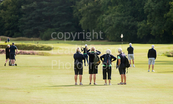 LB_033_Bridgestone_Women