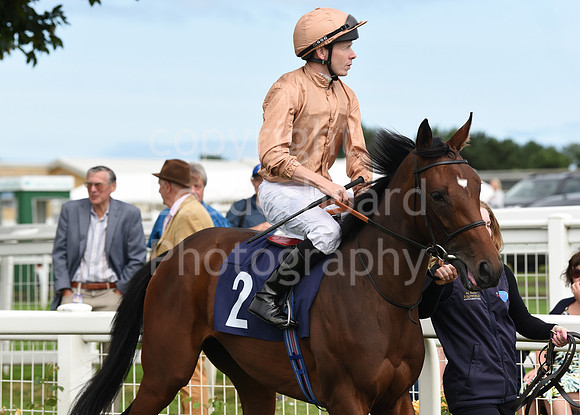 Gt_Yarm_Races_24_Aug_2021-46