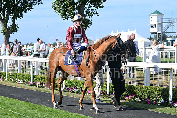Gt_Yarm_Residents_Day_June_27-245