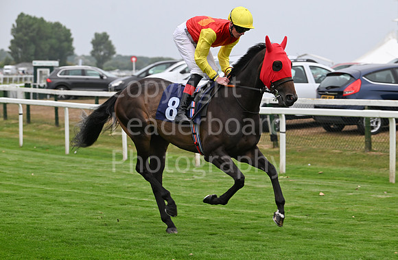 Gt_Yarm_19_Aug_Evening_Race-149