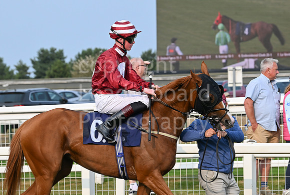 Gt_Yarm_19_Aug_Evening_Race-16
