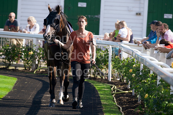 LB_GYR_July_31_18_0541