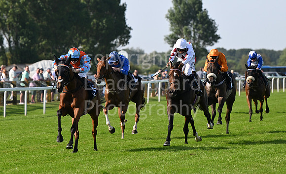 Gt_Yarm_July_30_2024-273