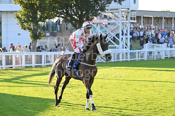 Gt_Yarm_Ladies Night_2025-158