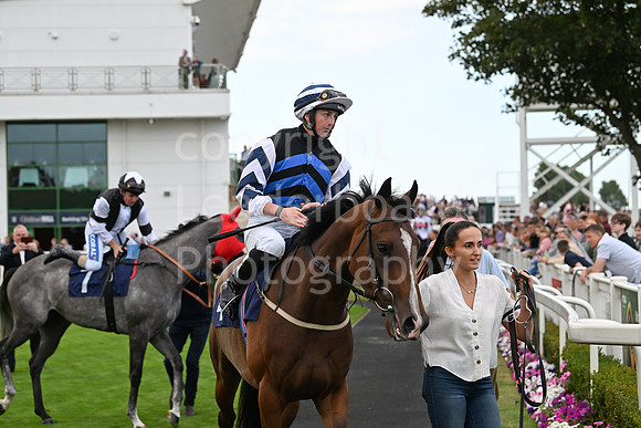 Gt_Yarm_24_Aug_2025-208