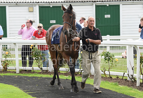 Gt_Yarm_Races_24_Aug_2021-38