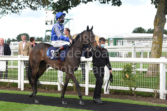 Gt_Yarmouth_Races_230Aug-185
