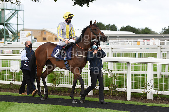 Gt_Yarmouth_Races_230Aug-97