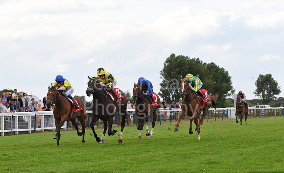31_GY_Racing_7_Aug