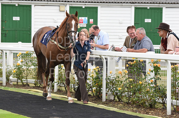 Yarm_Races_17July-2