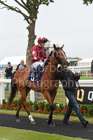 Gt_Yarm_30_June_2022-11