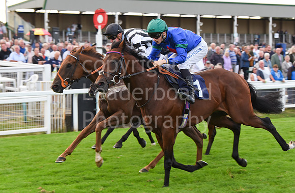 Gt_Yarm_14_Sept_2022-189